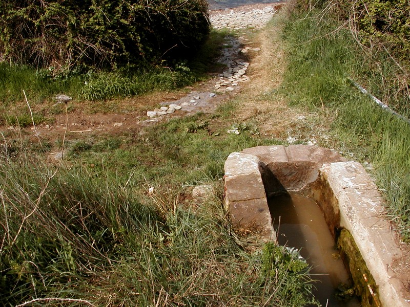 Ripristino di un fontanile a Baratti (Piombino - LI)